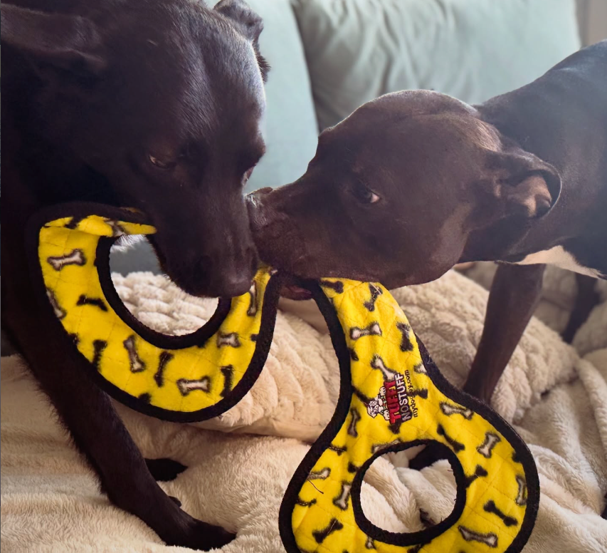 Därför tar Staffeshoppen lite längre tid att öppna