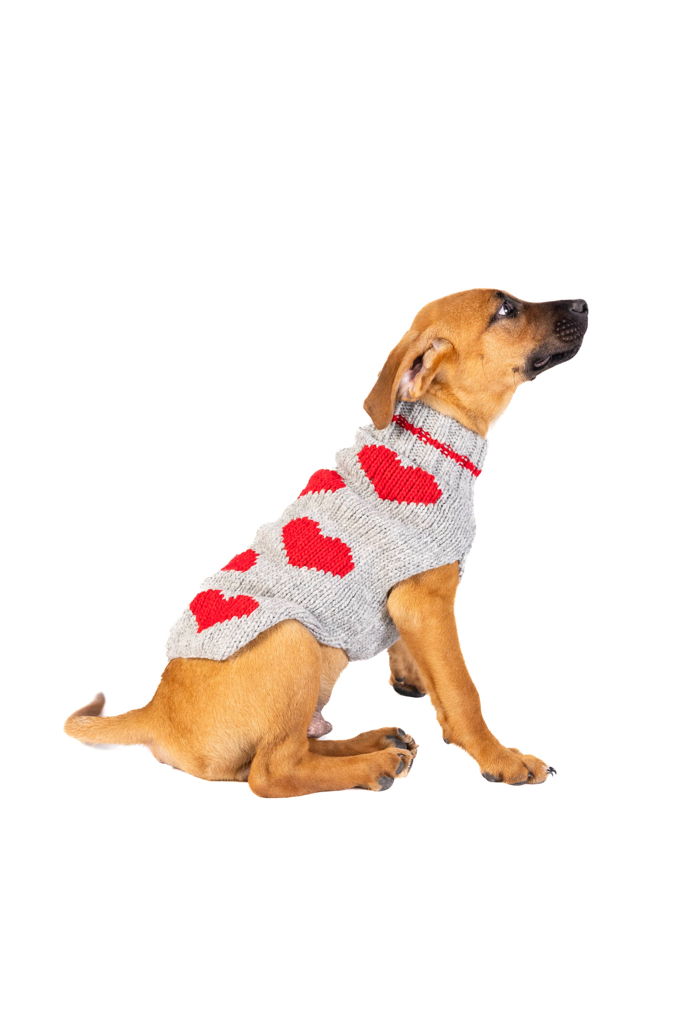 Chilly Dog Red Heart – handstickad hundtröja i ull Medium