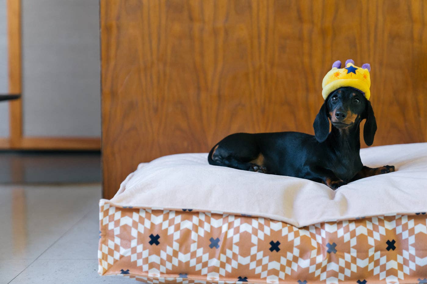 P.L.A.Y. Mini Party Time Canine Crown – Krona för Hund