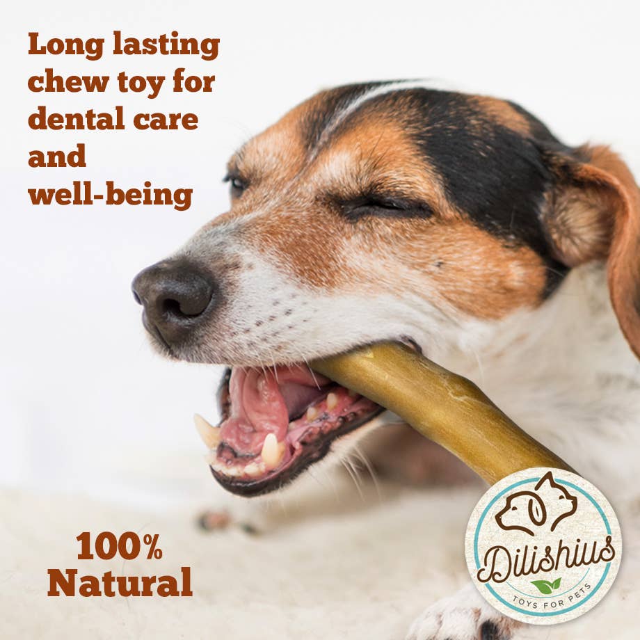Dilishius Cinnamon Wood Dog Chew – Naturlig tuggleksak av kanelträ | Premium