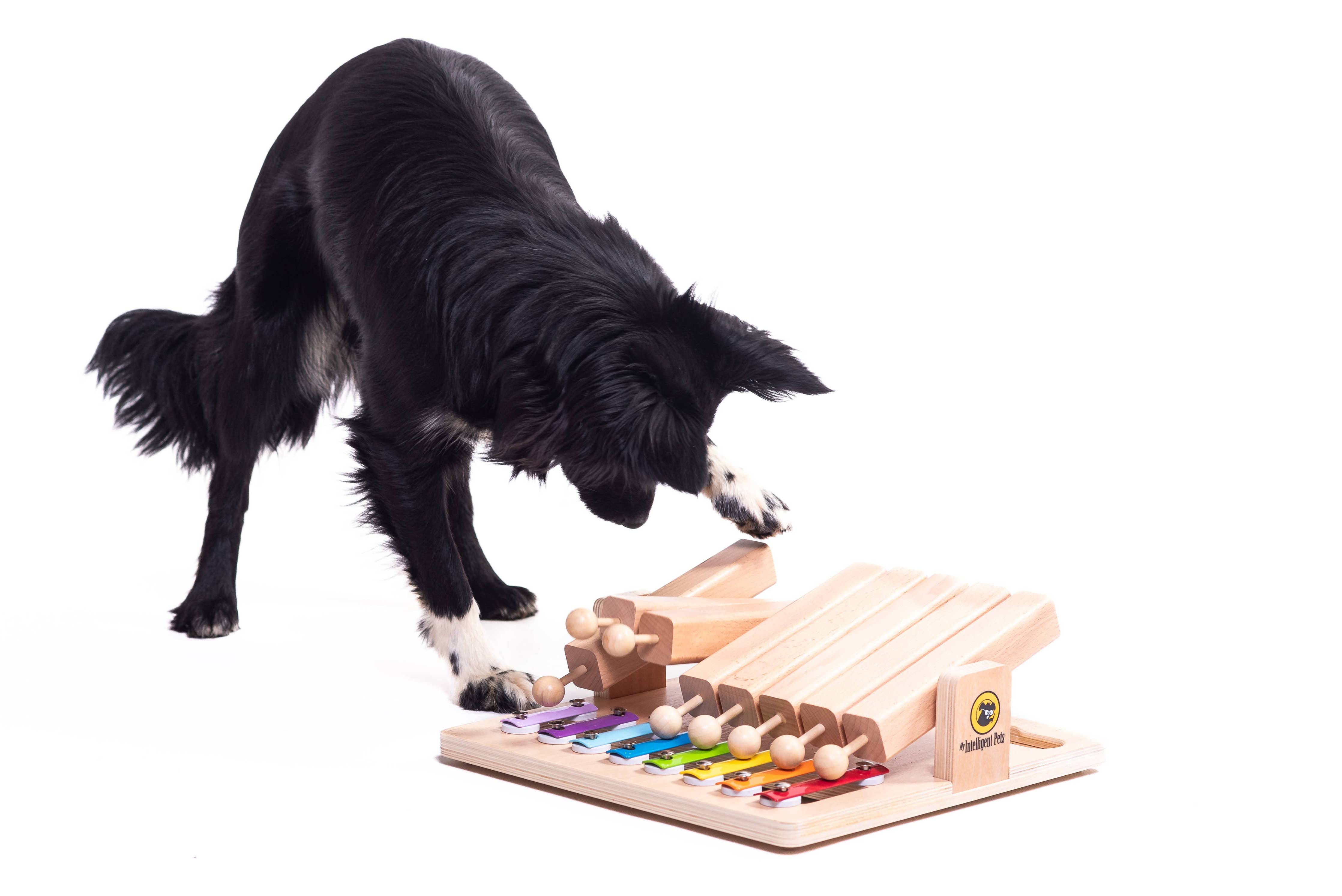 My Intelligent Dogs - Piano - Interaktiv leksaksprodukt för året - berikande leksak