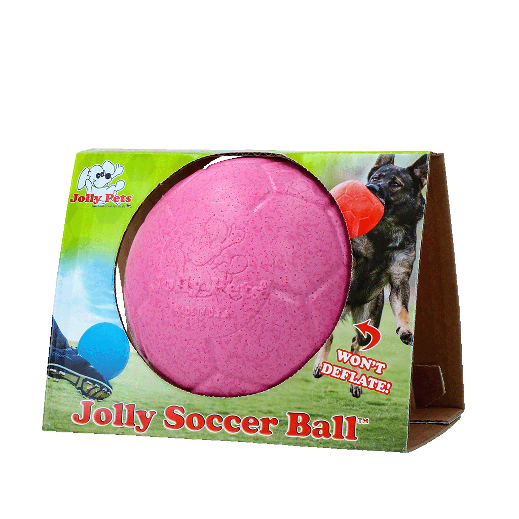 Jolly Fotboll 15 cm rosa – flytande hundboll för apport och lek
