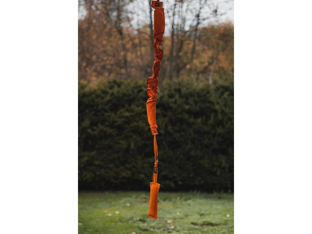 Expander Medium 130–185 cm – Expander för Springpole och Dragträning med Hund