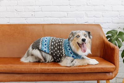 Chilly Dog ljusblå Fair Isle – handstickad hundtröja i XL