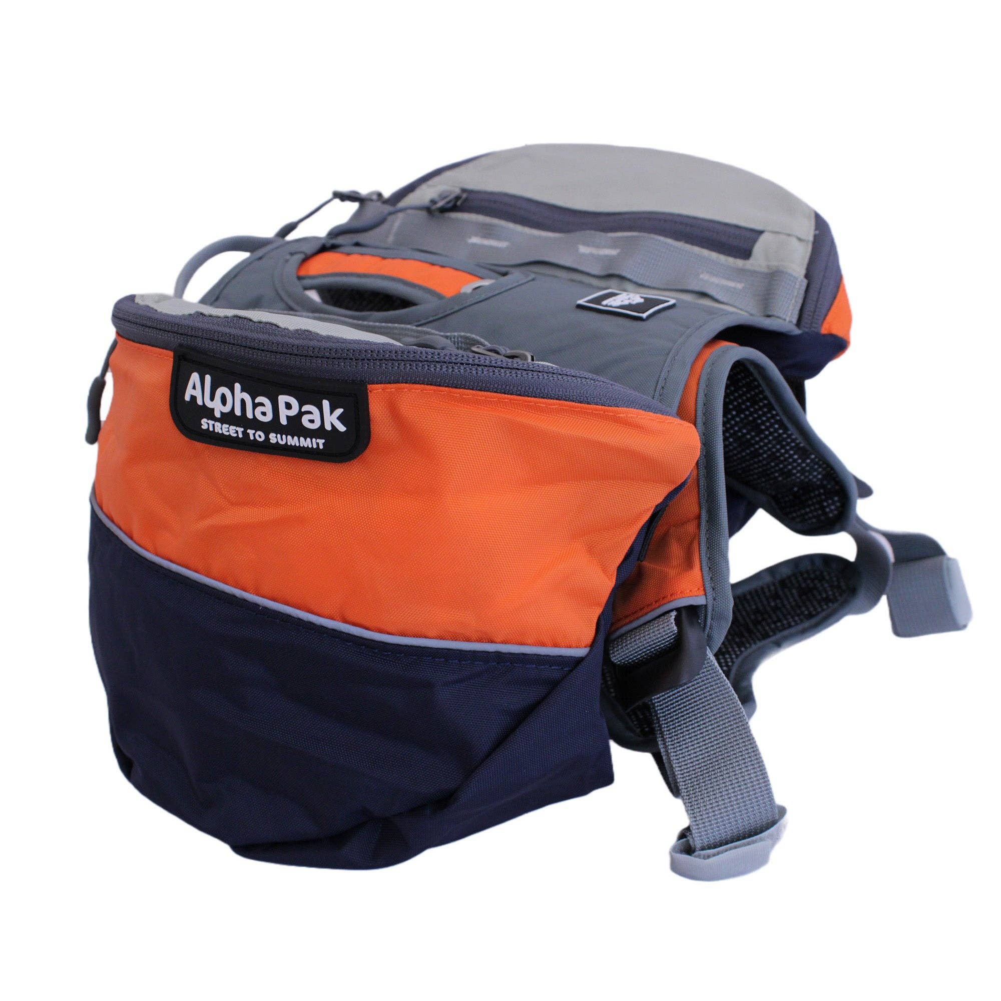 Camping With Dogs and AlphaPak - Adventurer 2-delat hundpaket med EZ Latch™: Lila / Medium - Bröst 22-27in - Hals 14-20in.