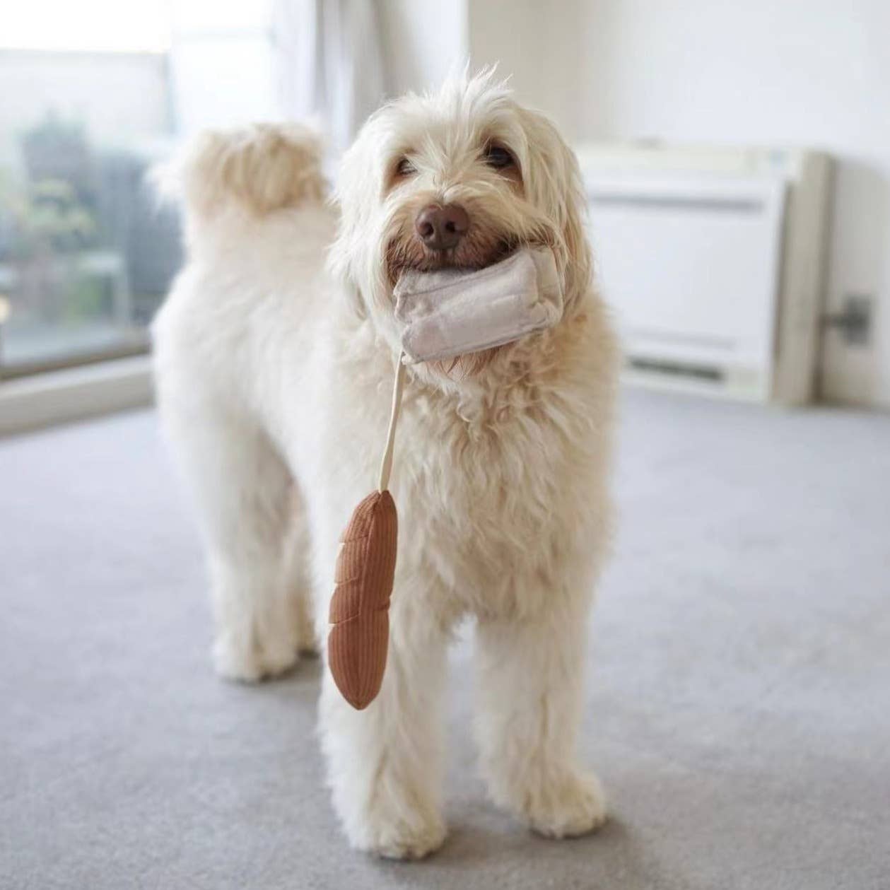 Mini Baguette – Berikningsleksak för hund | Burrow & nosarbete