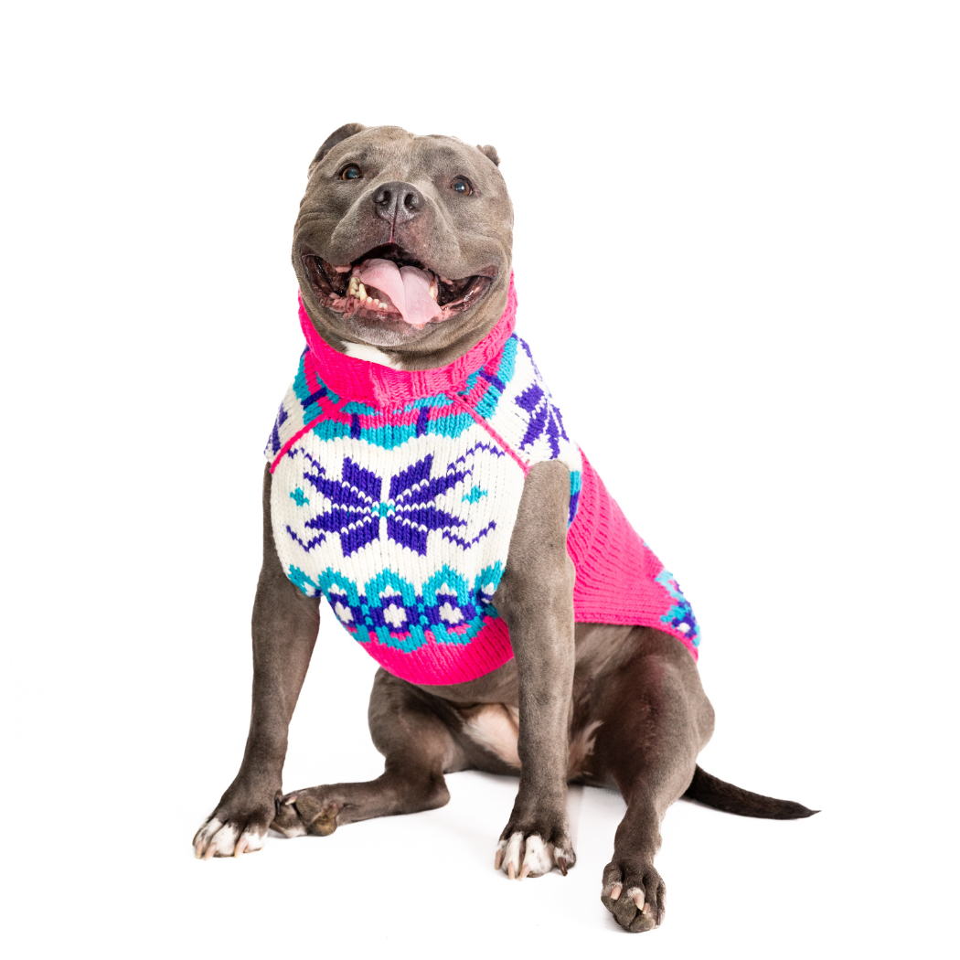 Chilly Dog Elsa Dog – handstickad hundtröja i alpackaull Medium