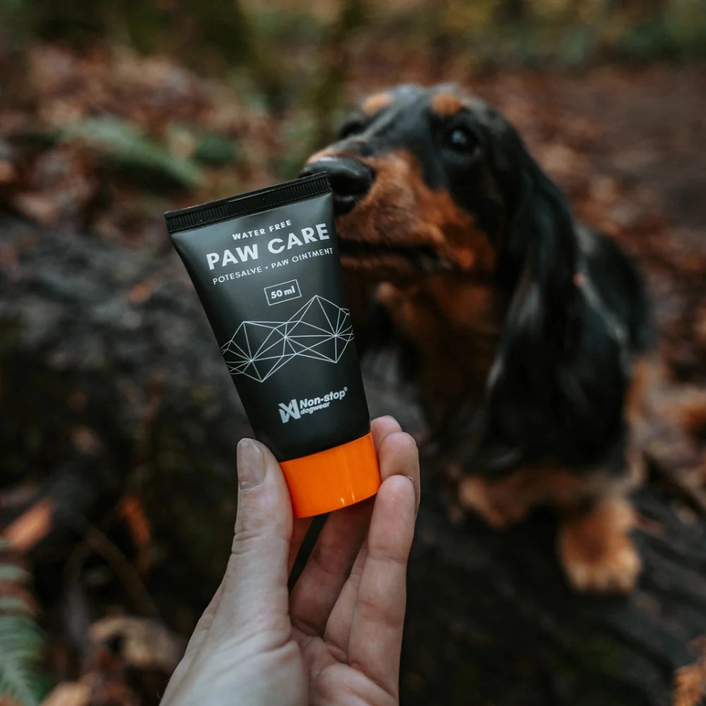 Non-stop Dogwear Paw Care Tasssalva 50 ml