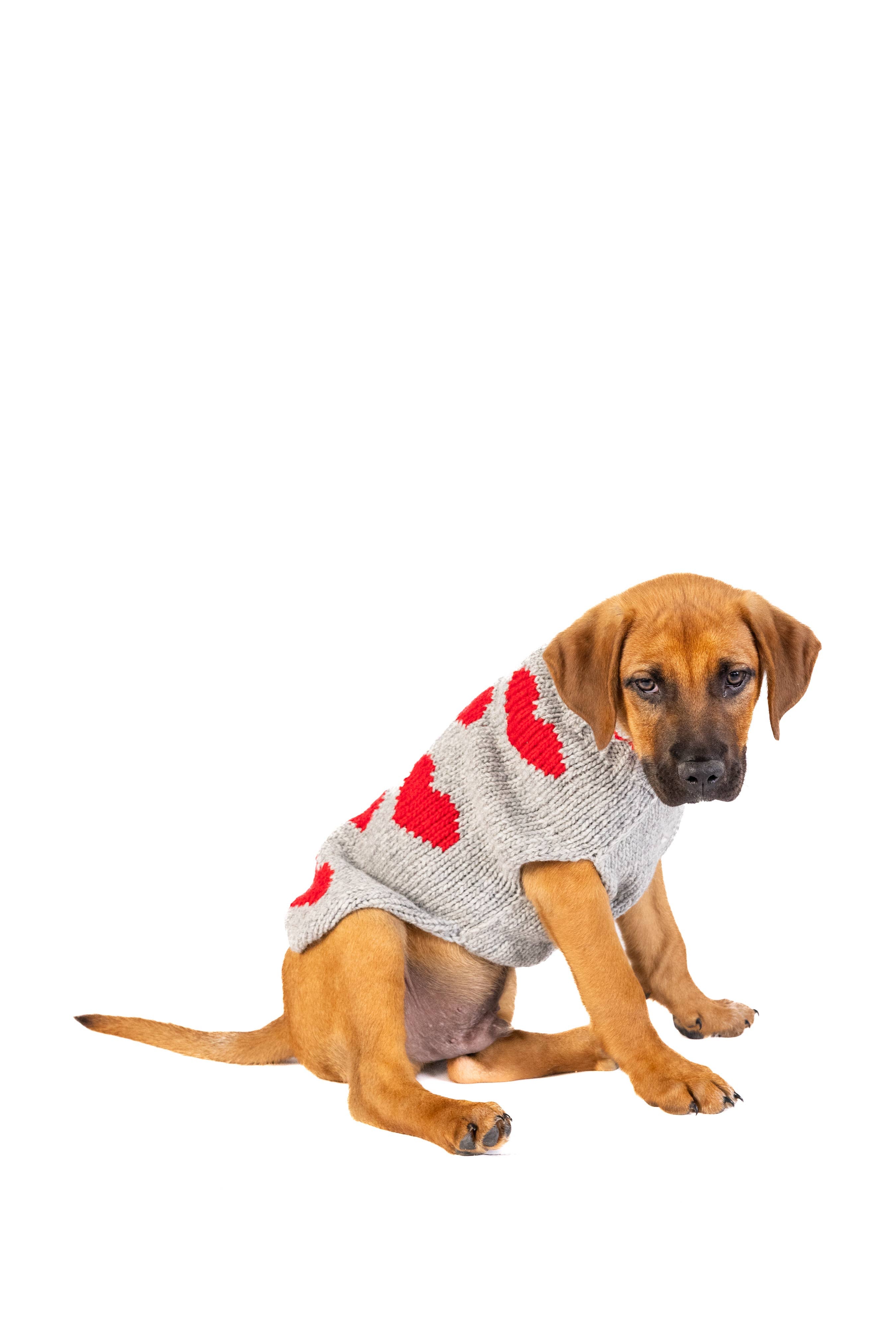 Chilly Dog Red Heart – handstickad hundtröja i ull Medium