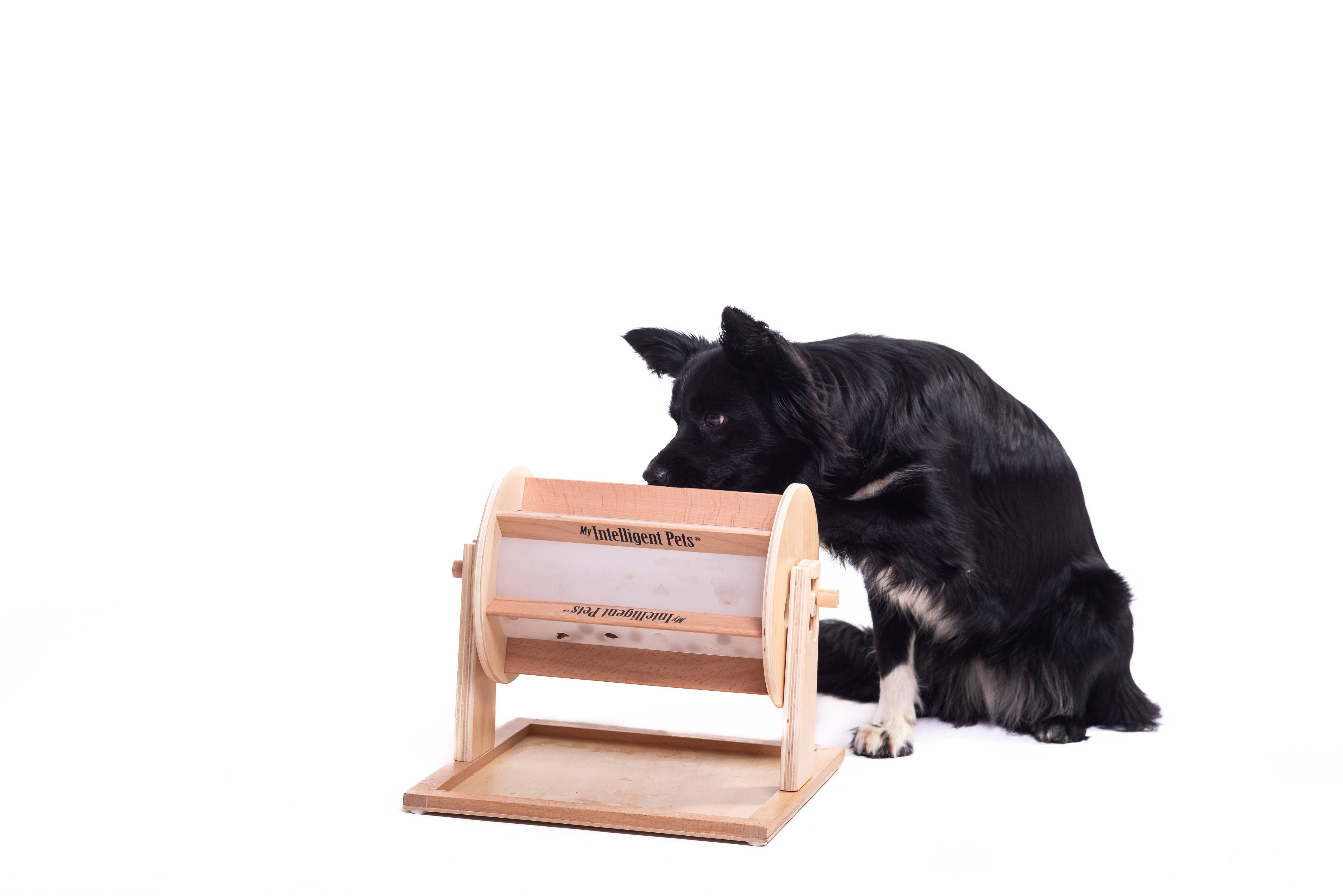 My Intelligent Dogs® Lyckohjulet – intelligensspel och godisutdelare för hundar