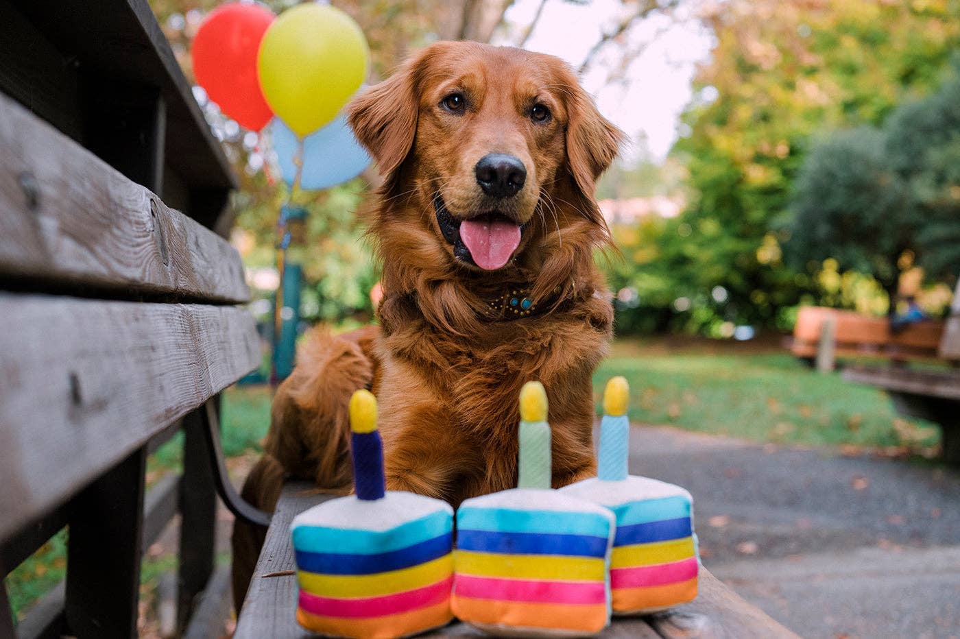 P.L.A.Y. Bone-appetite Cake – Interaktiv Tårtleksak för Hund