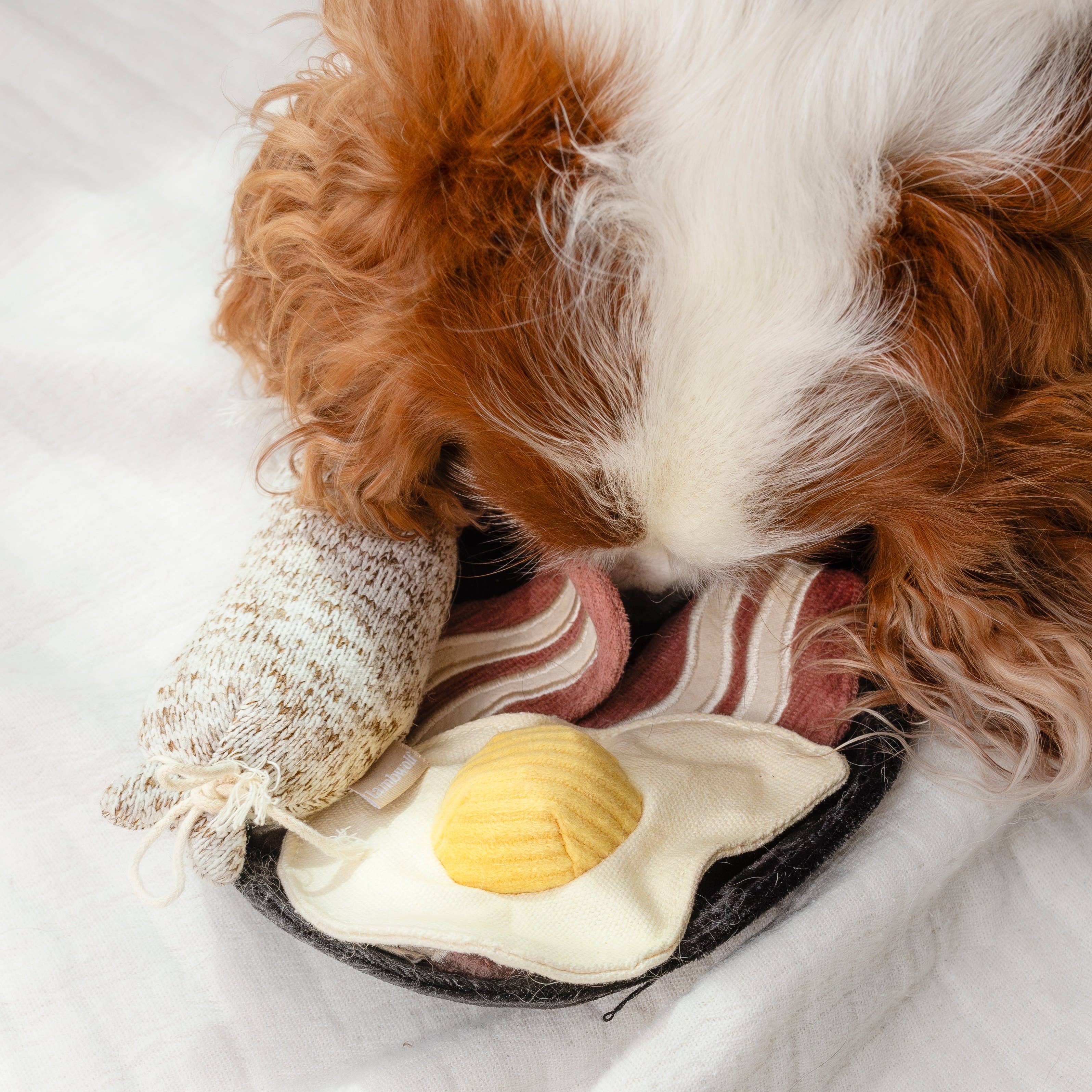 Lambwolf EU – Bfast Set // Berikningsleksak för hund // Snuffle-leksak