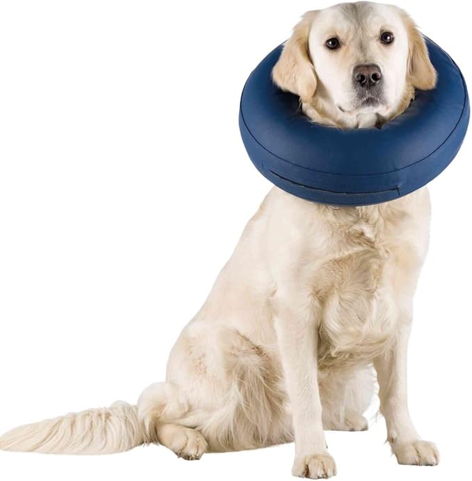 Trixie uppblåsbar tratt för hund M (40–45 cm) – mjuk skyddskrage
