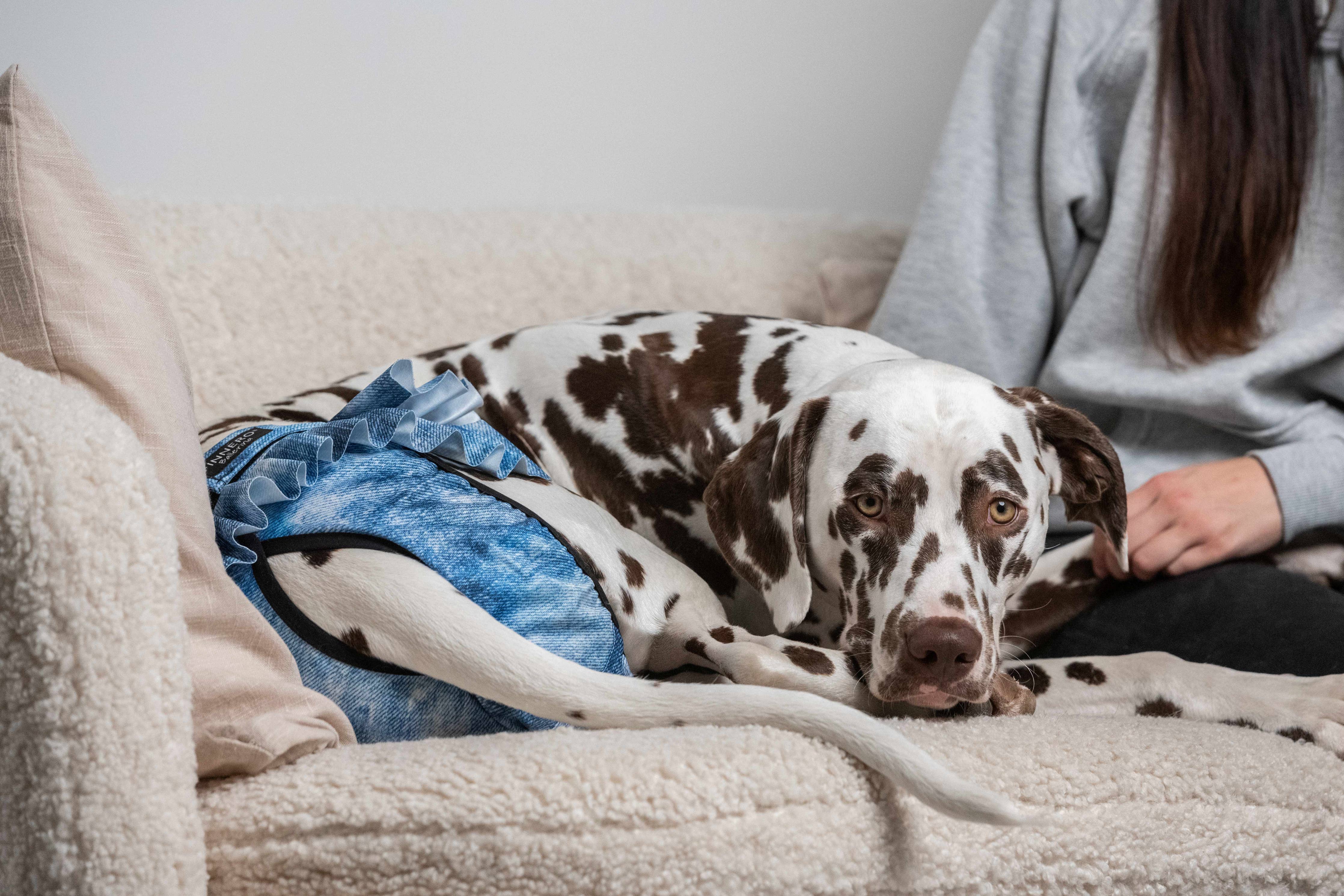 FINNERO BALLERINA Hundhygienbyxor – Rosa | Tvättbara tikskydd