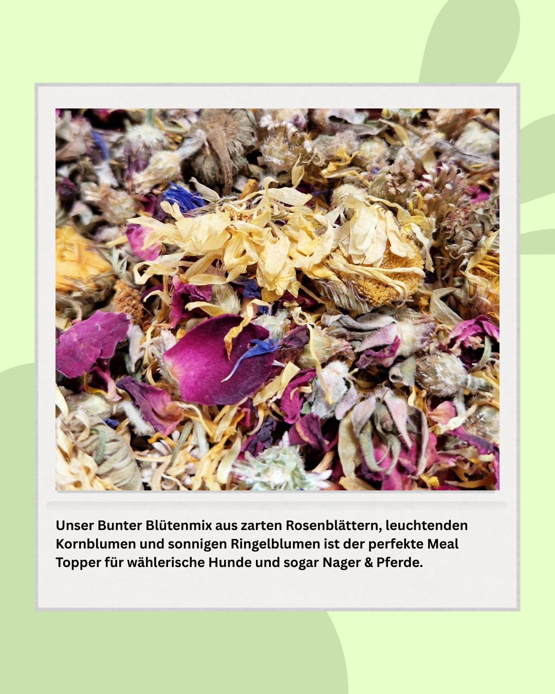 Botanisk Superfood BARF-topping – Ros, blåklint & ringblomma