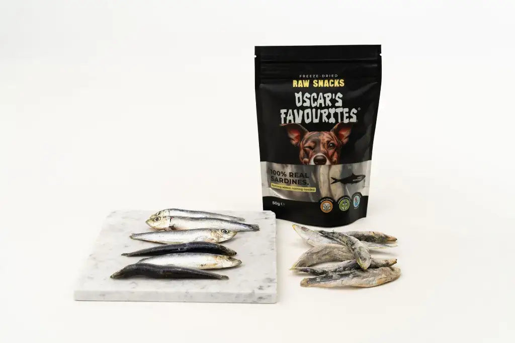 Frystorkade Sardiner för Hund – Naturligt Fiskgodis
