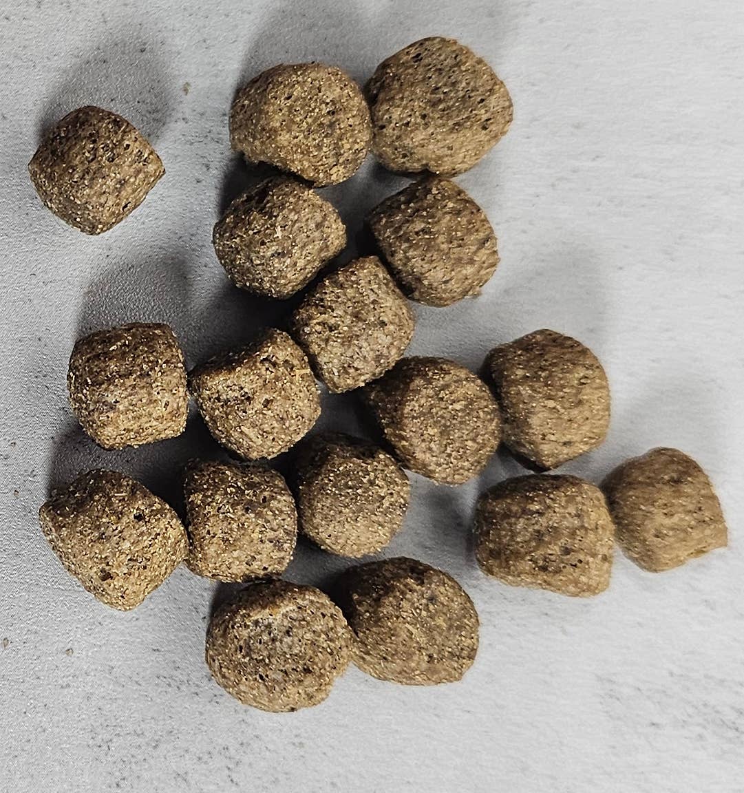 Spirit of Wild - Spirit of Wild Snack Turkiet med ris : 100g