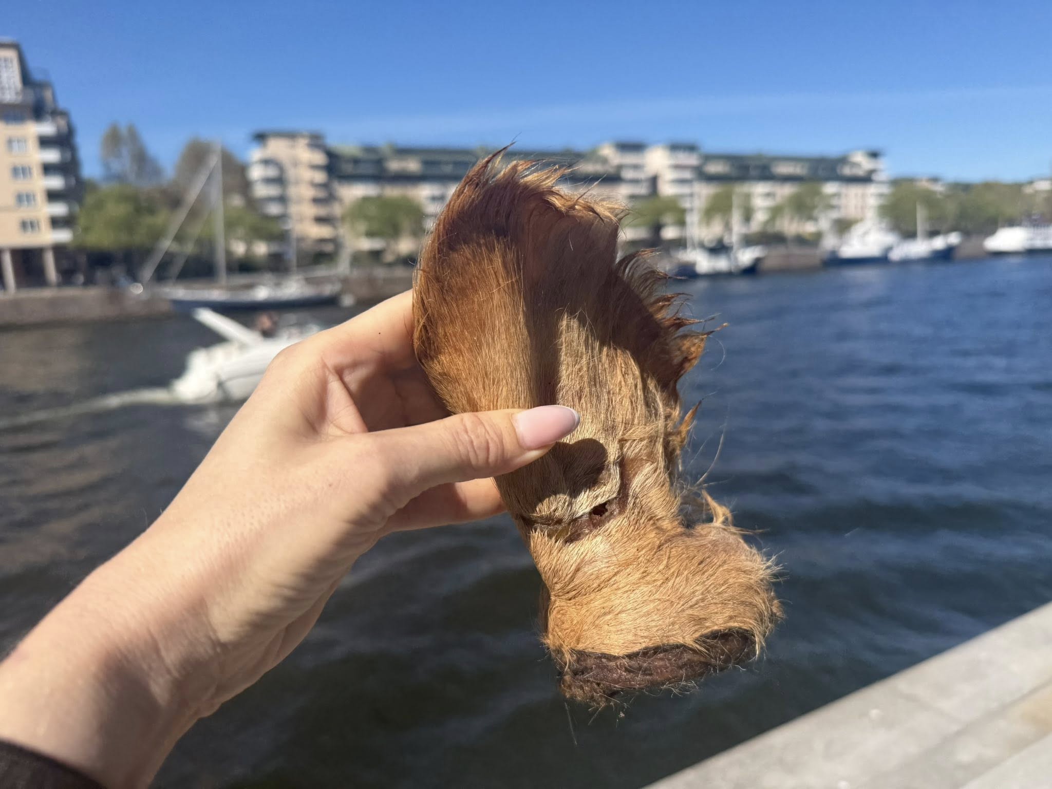 Extra stora oxöron med päls XL