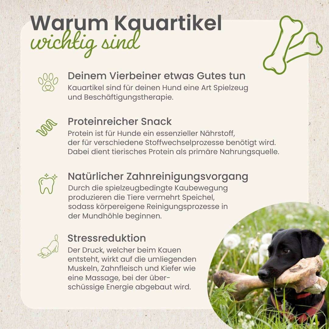 Gåsvingar – 100 % lufttorkad gås | Naturligt hundtugg