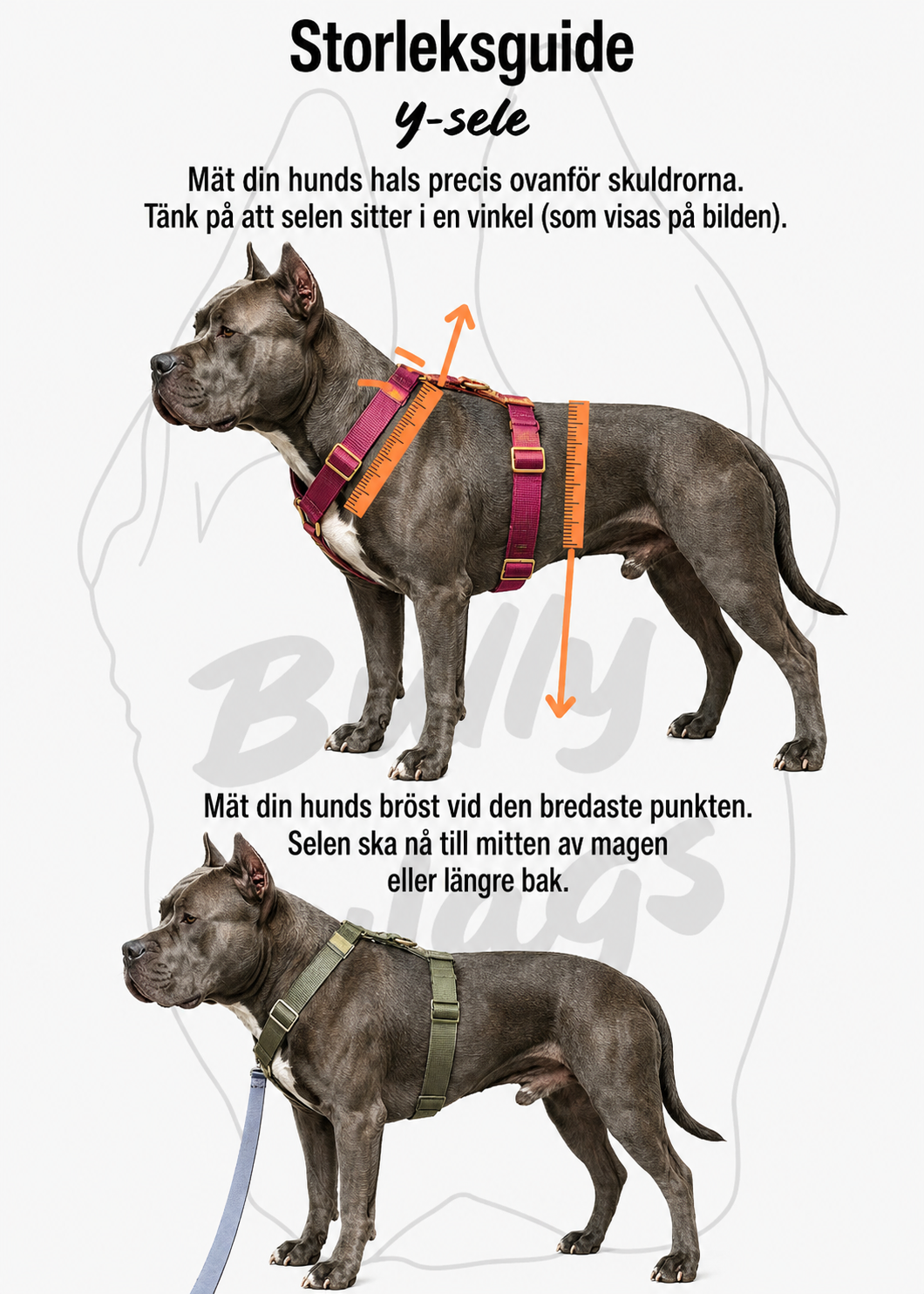 Vardagssele – Babyblå Medium