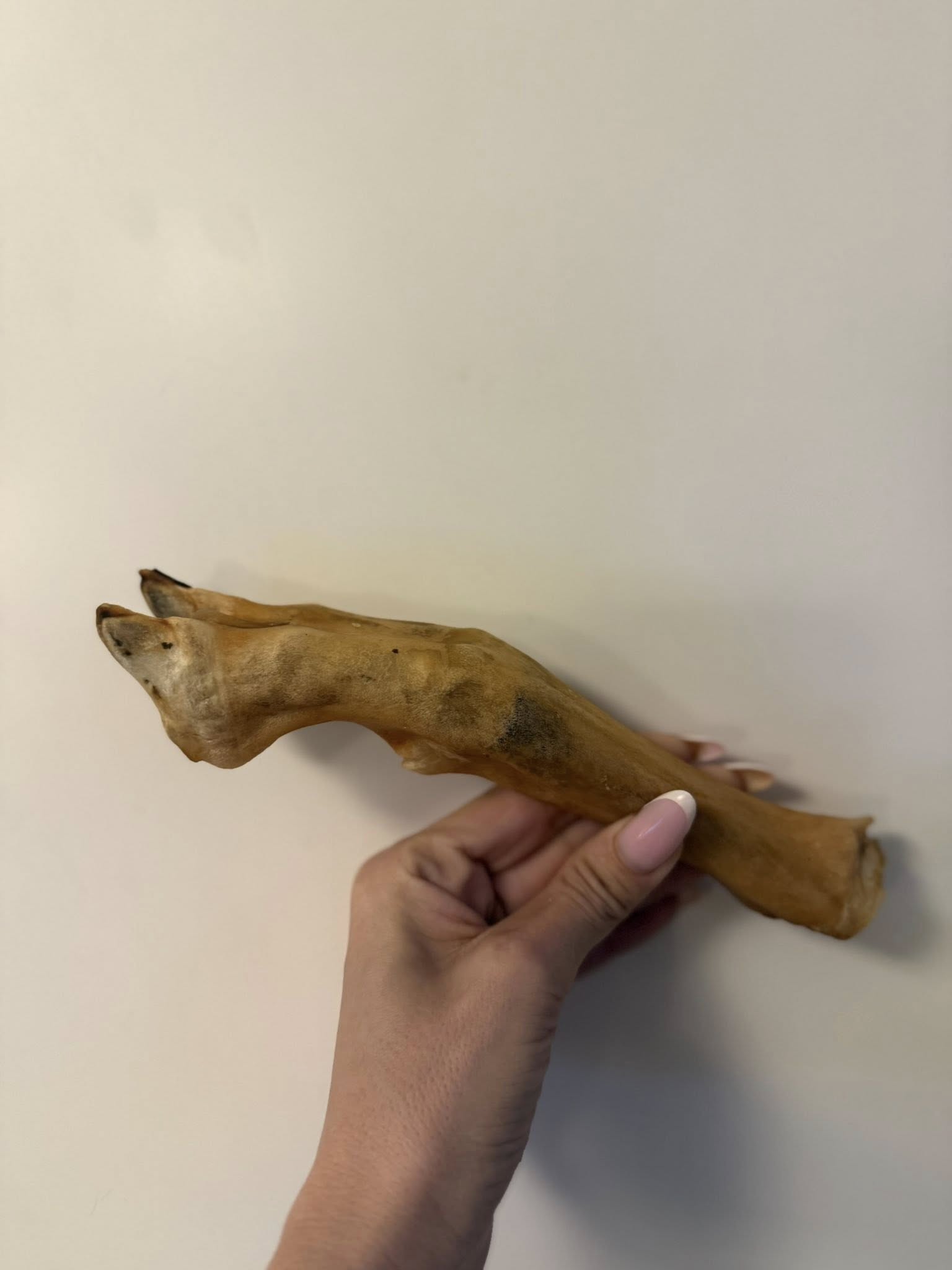 Getfötter 1 styck – naturligt hundtugg av get