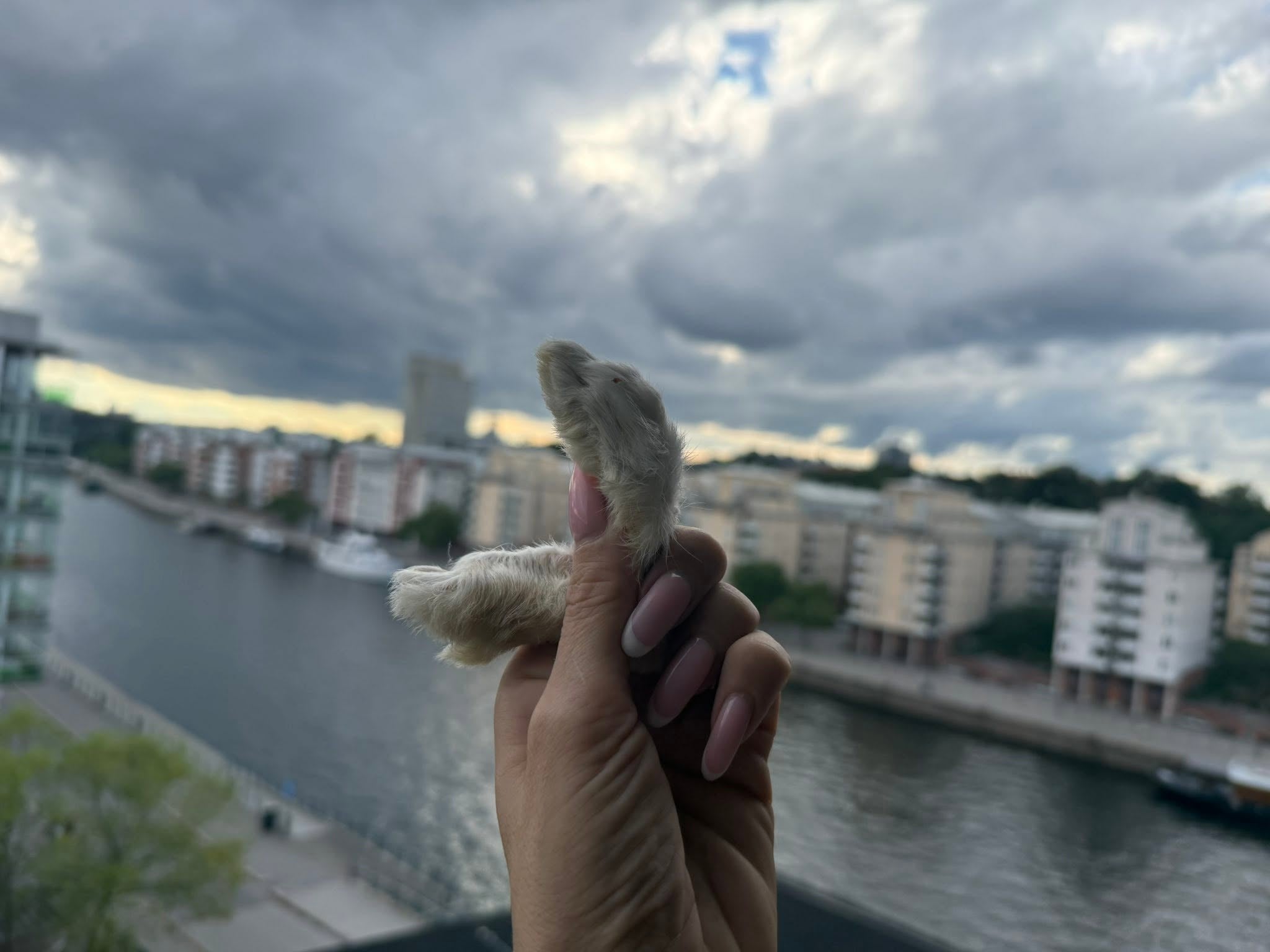 Kanintass med päls i styck – Lufttorkad | Naturligt hundtugg