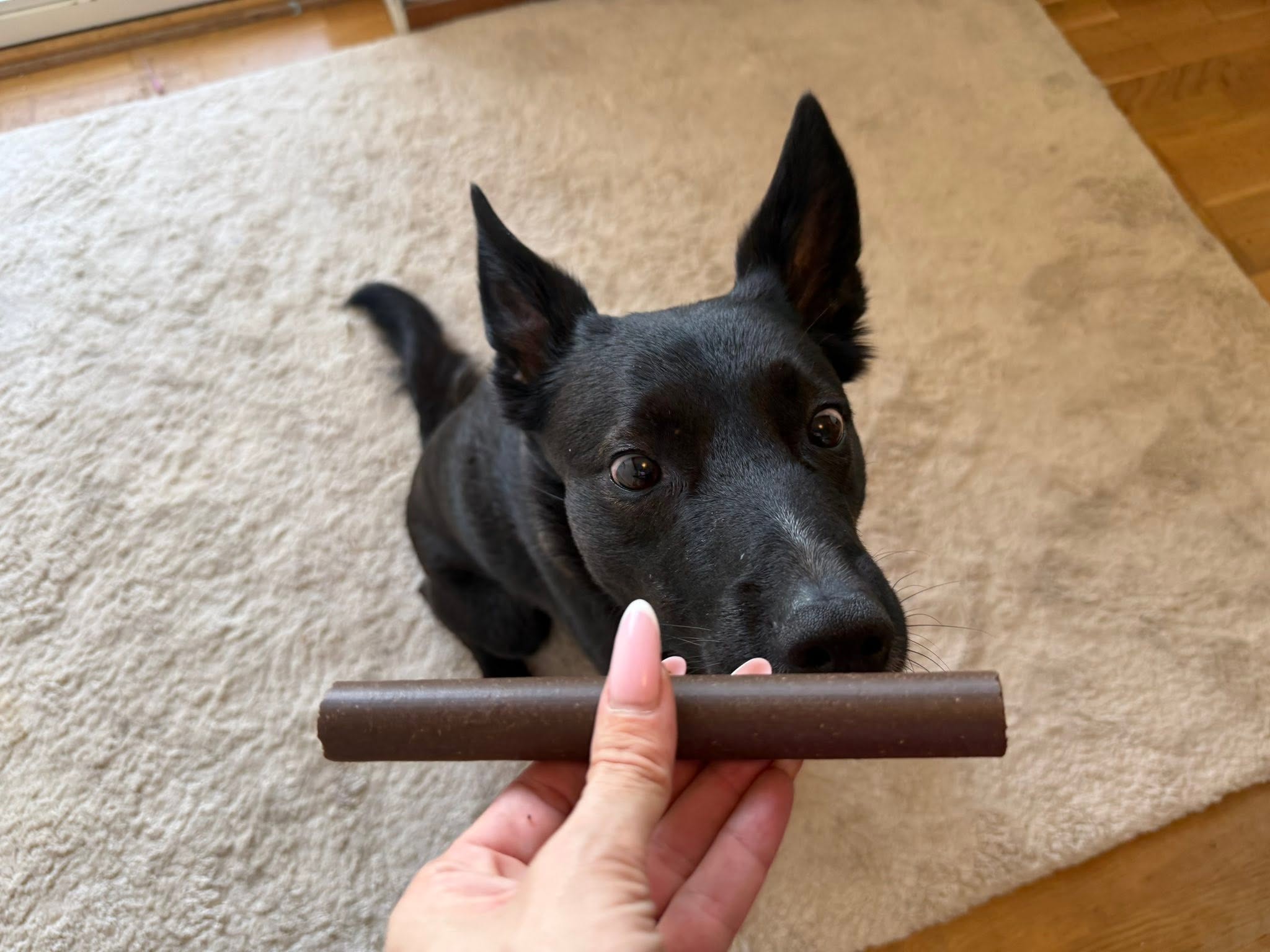Denta Roll XXL Hjort & potatis – spannmålsfritt hundtugg för tandvård