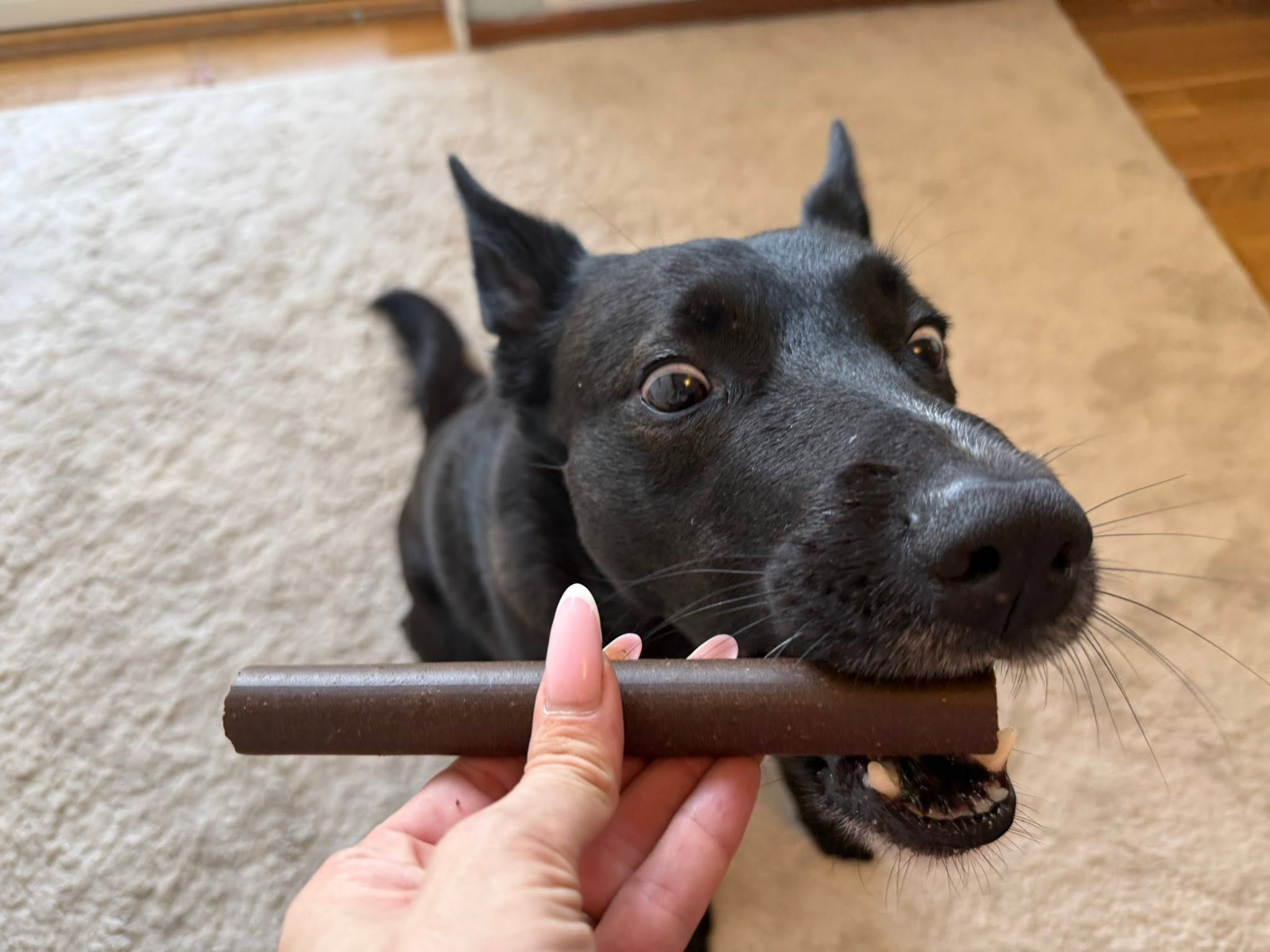 Denta Roll XXL Hjort & potatis – spannmålsfritt hundtugg för tandvård