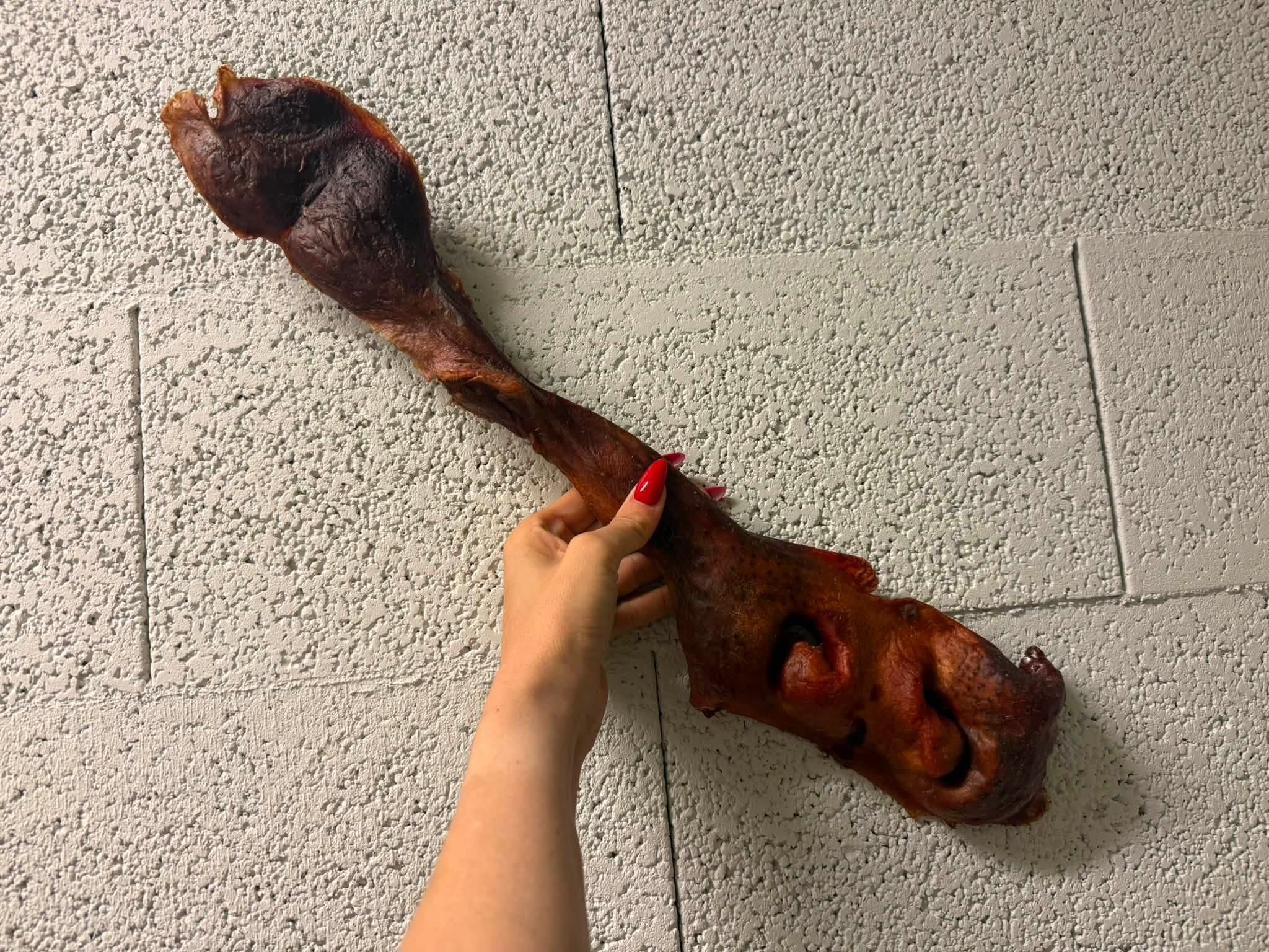 Oxmule XXL för Hund – Extra Stort Naturtugg ca 30–40 cm