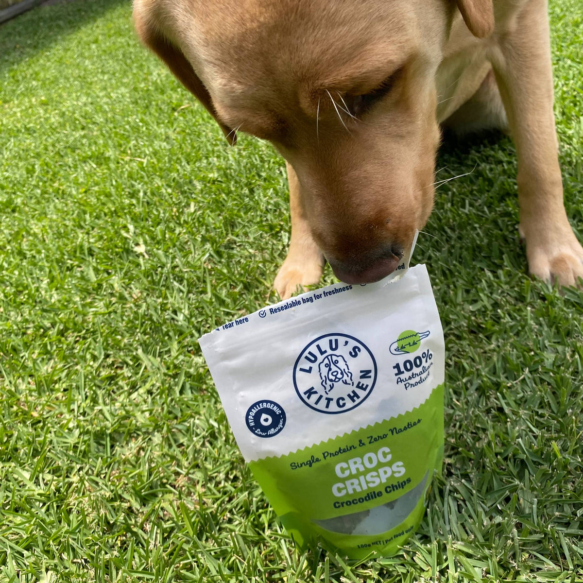 Nyhet! Krokodilchips 100 g – Naturligt hundgodis av 100 % krokodil