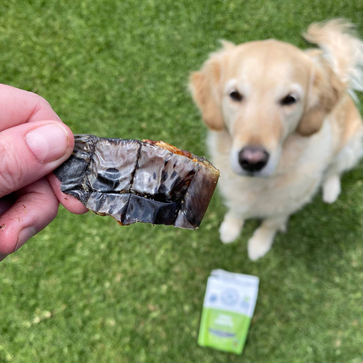 Nyhet! Krokodilchips 100 g – Naturligt hundgodis av 100 % krokodil