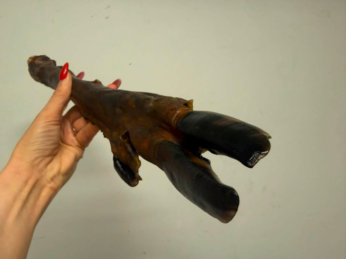 Dovhjortslägg med klöv – 100 % naturligt hundtugg