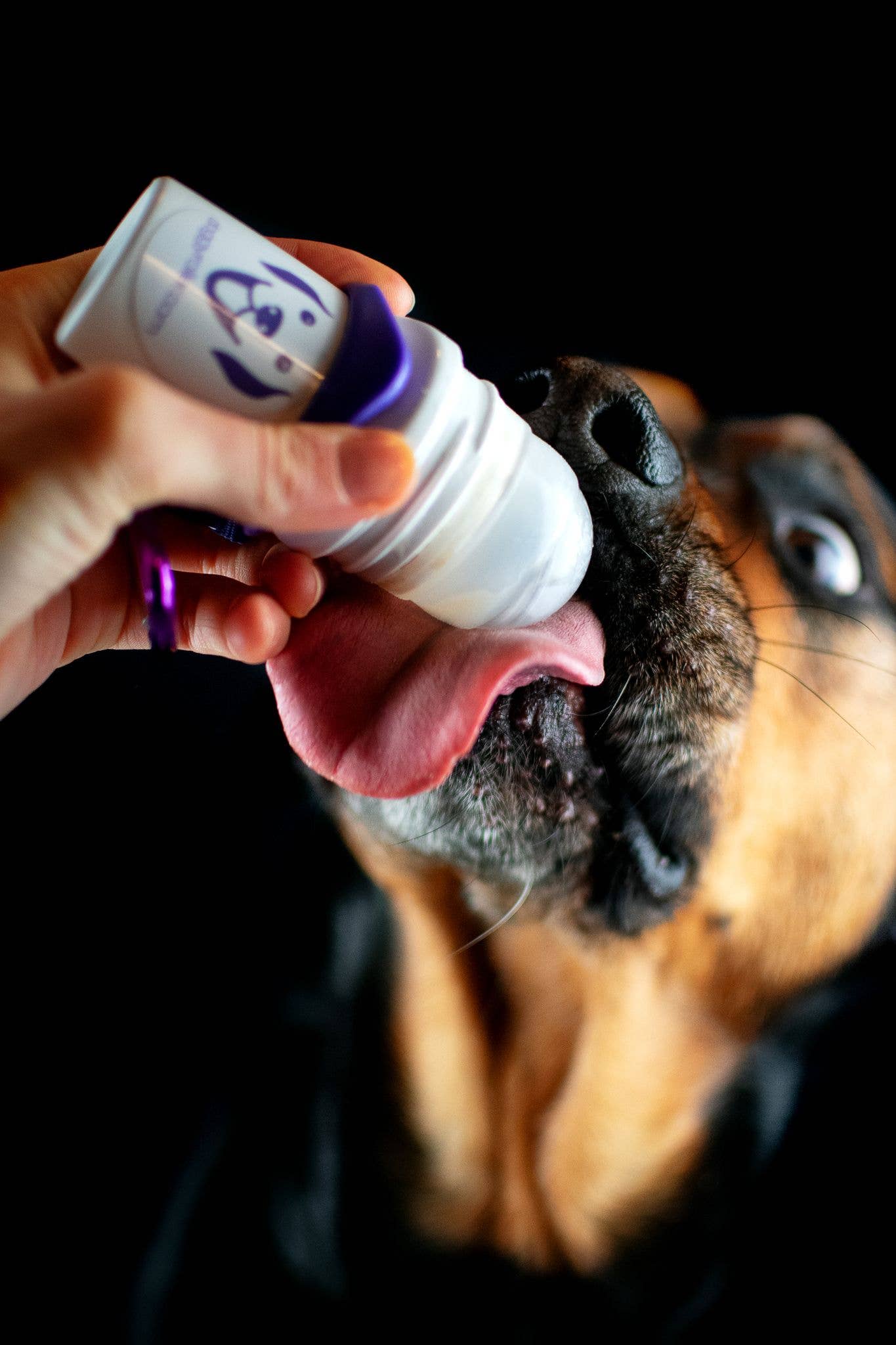 Doggyroller med karbinhakehållare Rosa – Flytande belöning alltid nära till hands