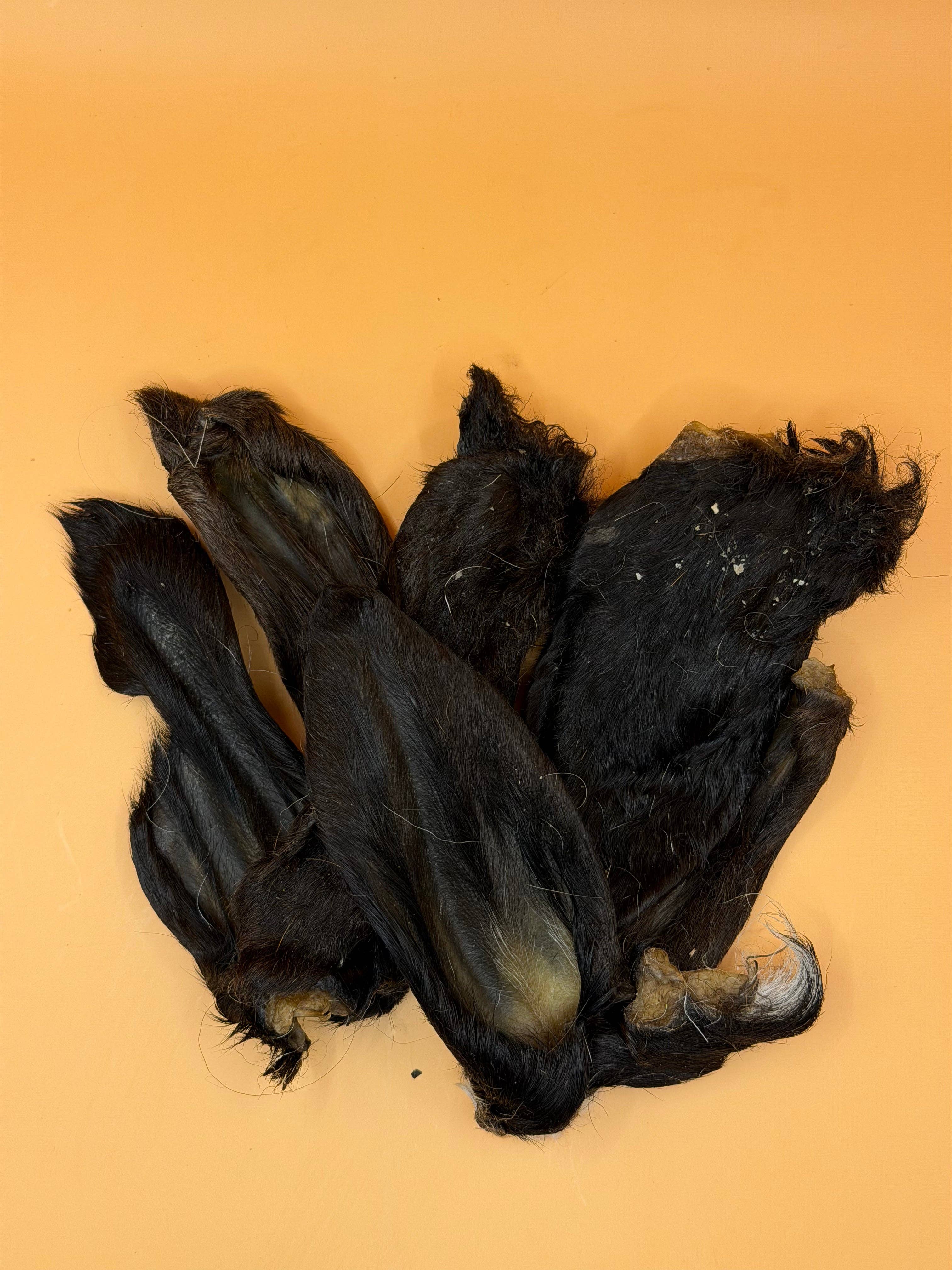 Lammöron med päls 100 g – naturligt hundtugg för mage, tänder och sysselsättning