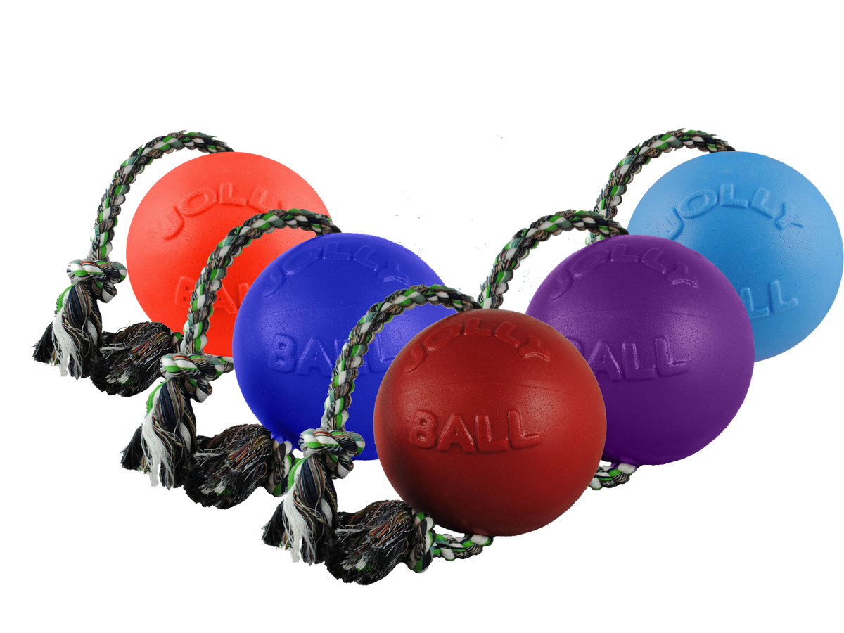 Jolly Ball Romp-n-Roll 15 cm orange – tålig hundboll med rep och vaniljdoft