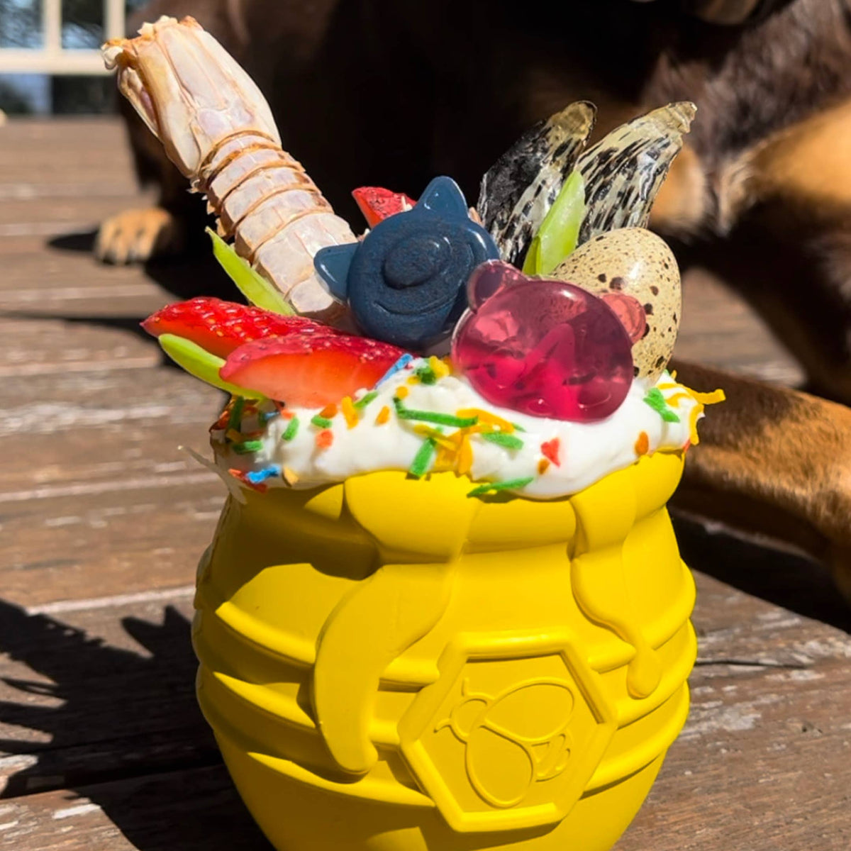 Nyhet! Krokodilchips 100 g – Naturligt hundgodis av 100 % krokodil