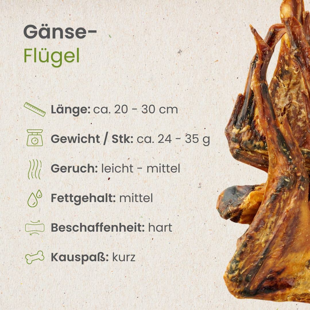 Gåsvingar – 100 % lufttorkad gås | Naturligt hundtugg