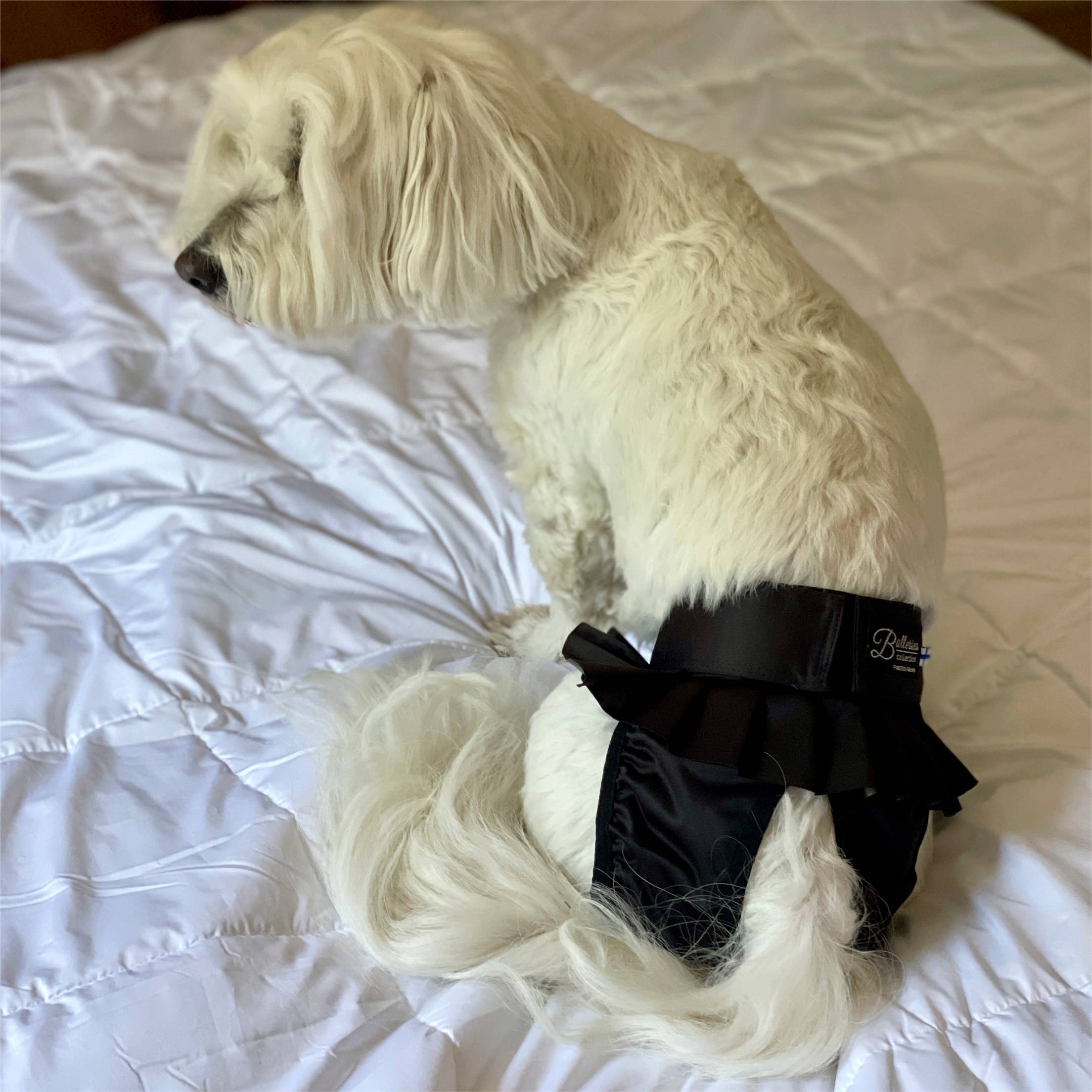 FINNERO BALLERINA Hundhygienbyxor – Rosa | Tvättbara tikskydd
