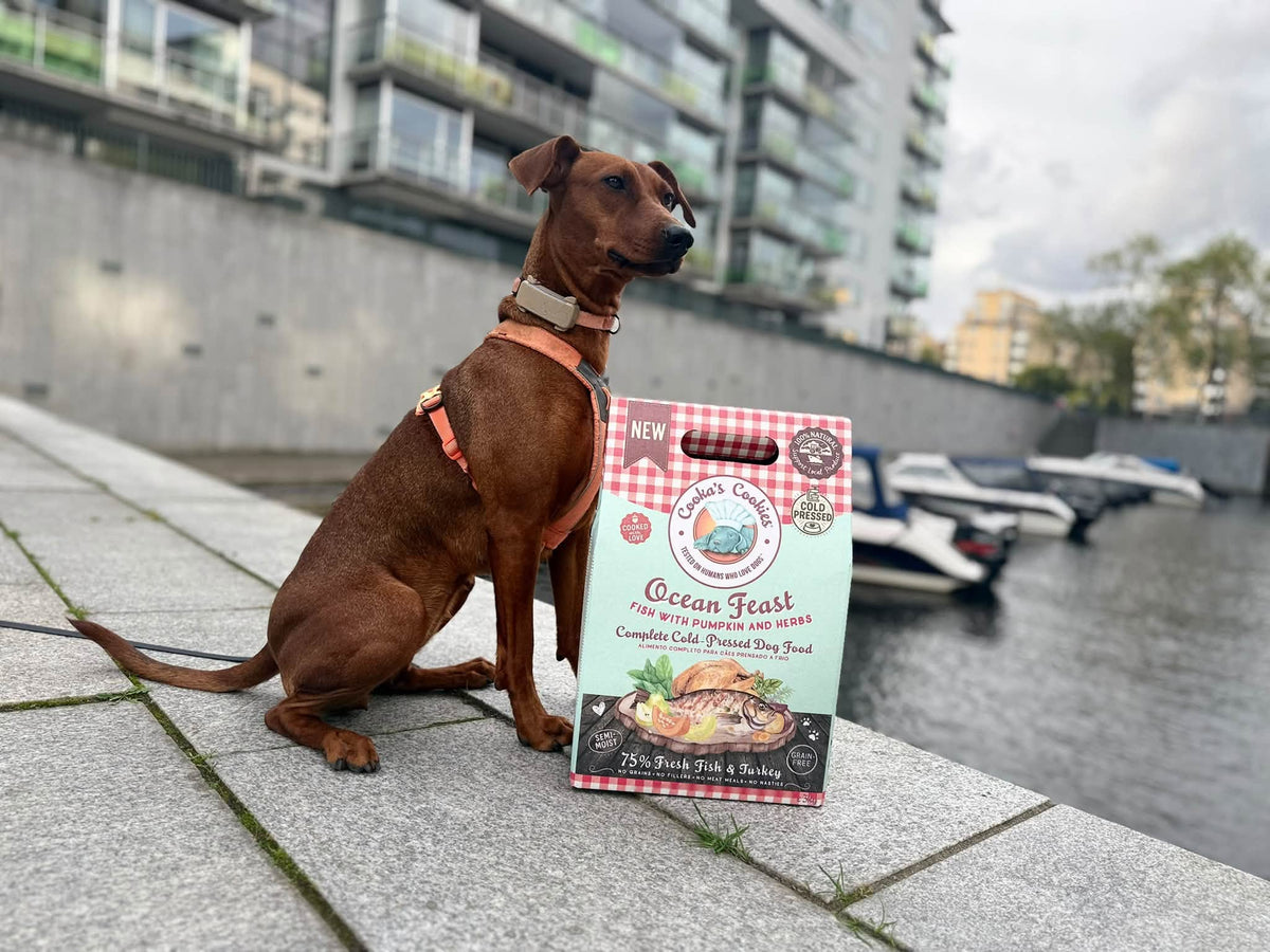 Semi-moist kallpressat hundfoder med 75 % fisk och kalkon