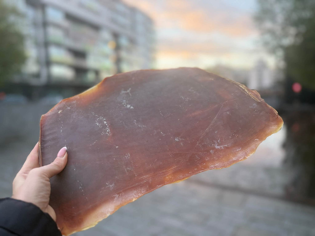 Nyhet! Exklusiva bläckfiskplattor – XXL, 100 % naturliga