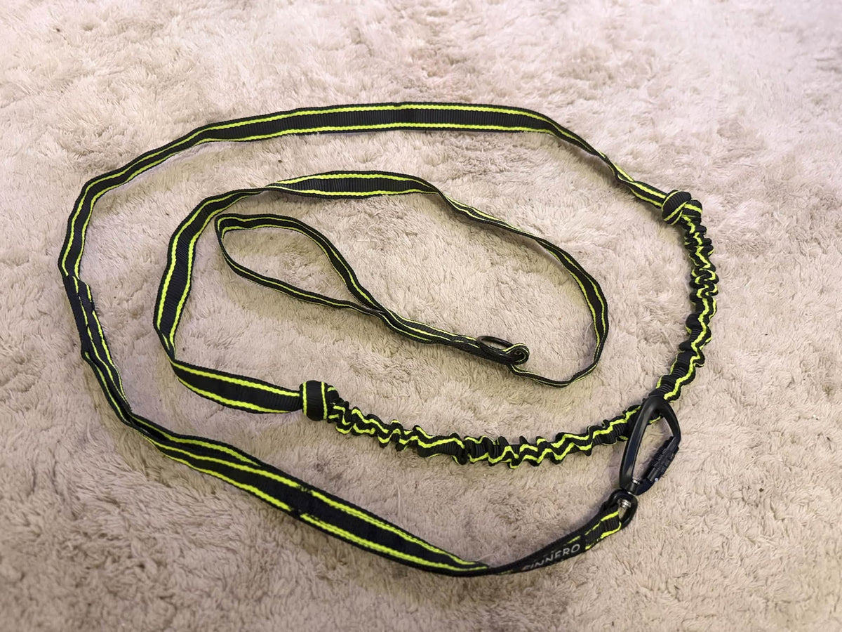 FINNERO POWER – Elastiskt hundkoppel med ryckdämpning och kontrollhandtag