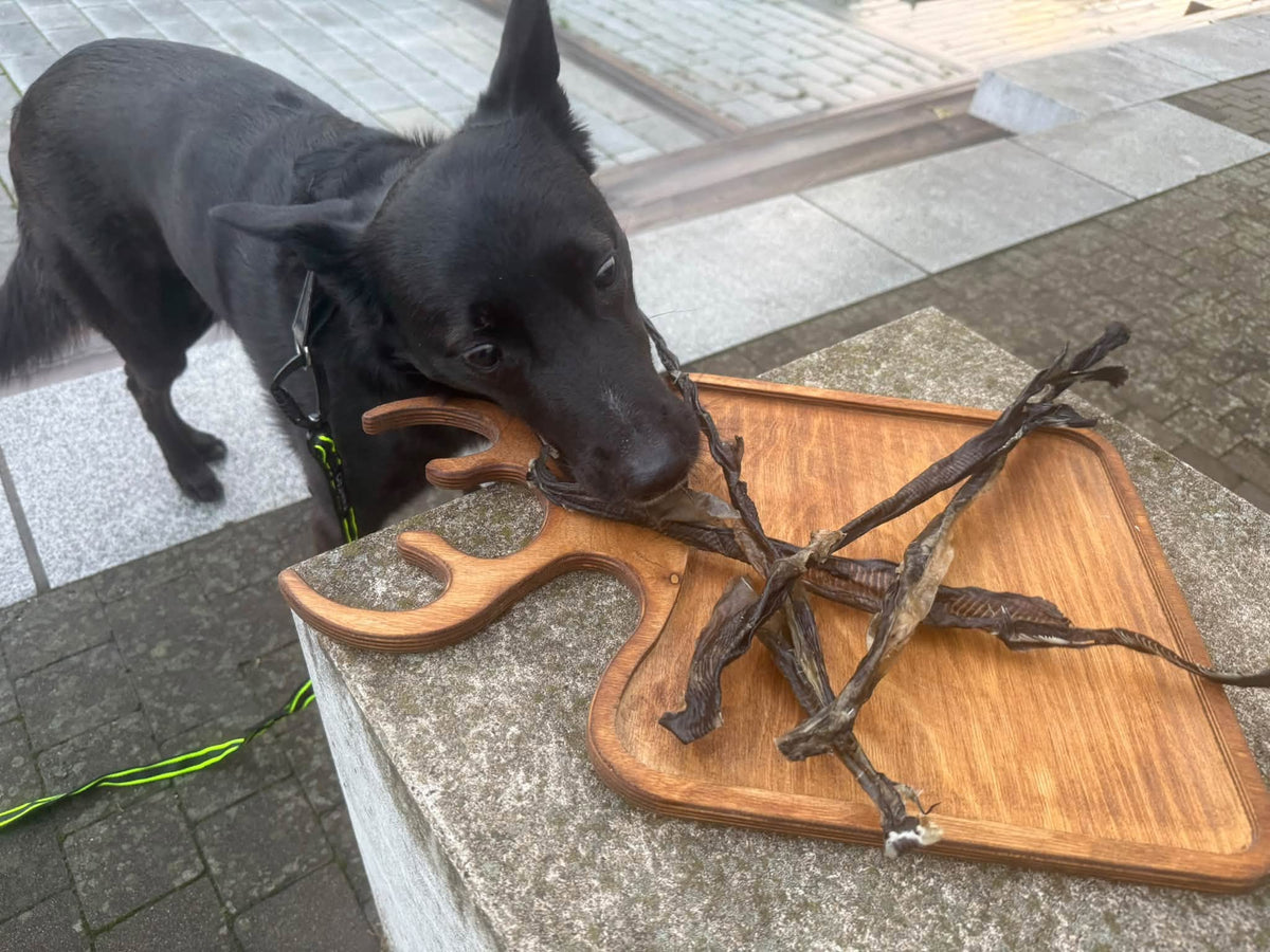 Malhud 100 g – Naturligt och segt hundtugg av 100 % fisk