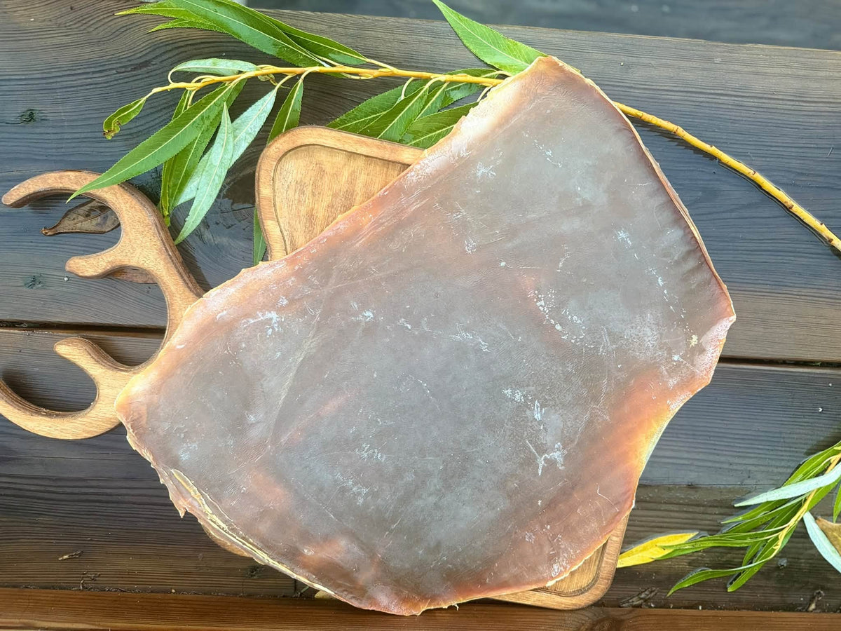 Nyhet! Exklusiva bläckfiskplattor – XXL, 100 % naturliga