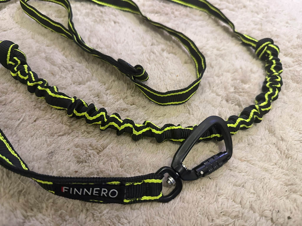 FINNERO POWER – Elastiskt hundkoppel med ryckdämpning och kontrollhandtag