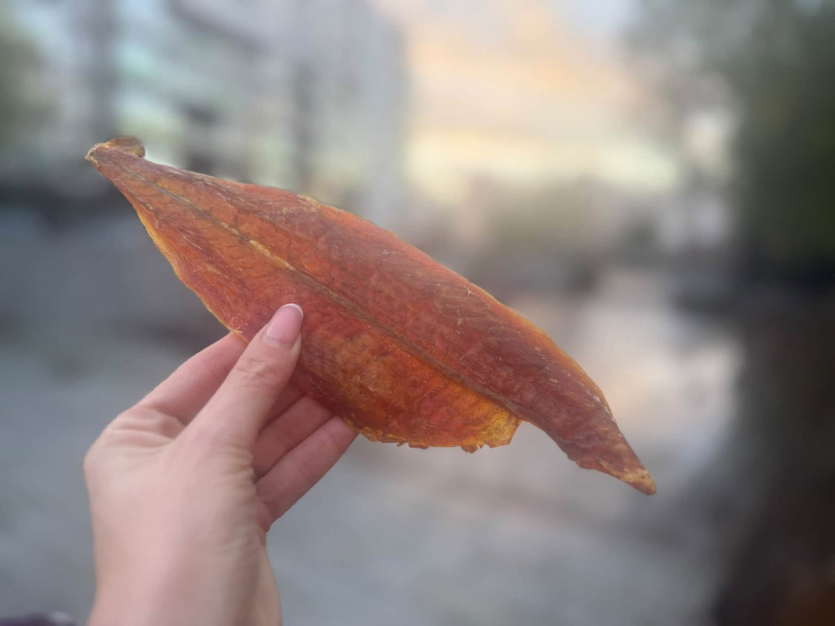 Rödfiskfilé – Naturligt hundgodis av 100 % fisk