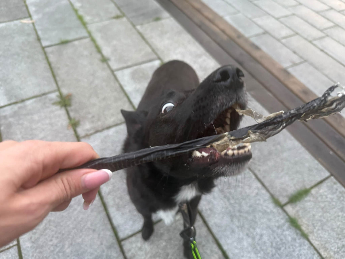 Malhud 100 g – Naturligt och segt hundtugg av 100 % fisk