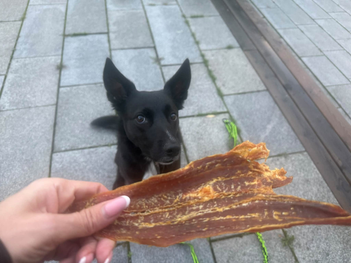 Rödfiskfilé – Naturligt hundgodis av 100 % fisk