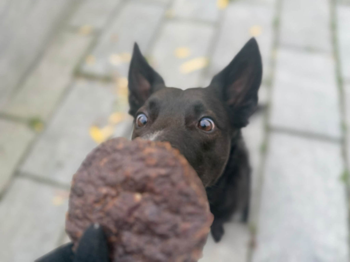Emmzo Vomburgare 4-pack â đžđȘ Svenskt naturligt hundgodis av vom | Staffeshoppen