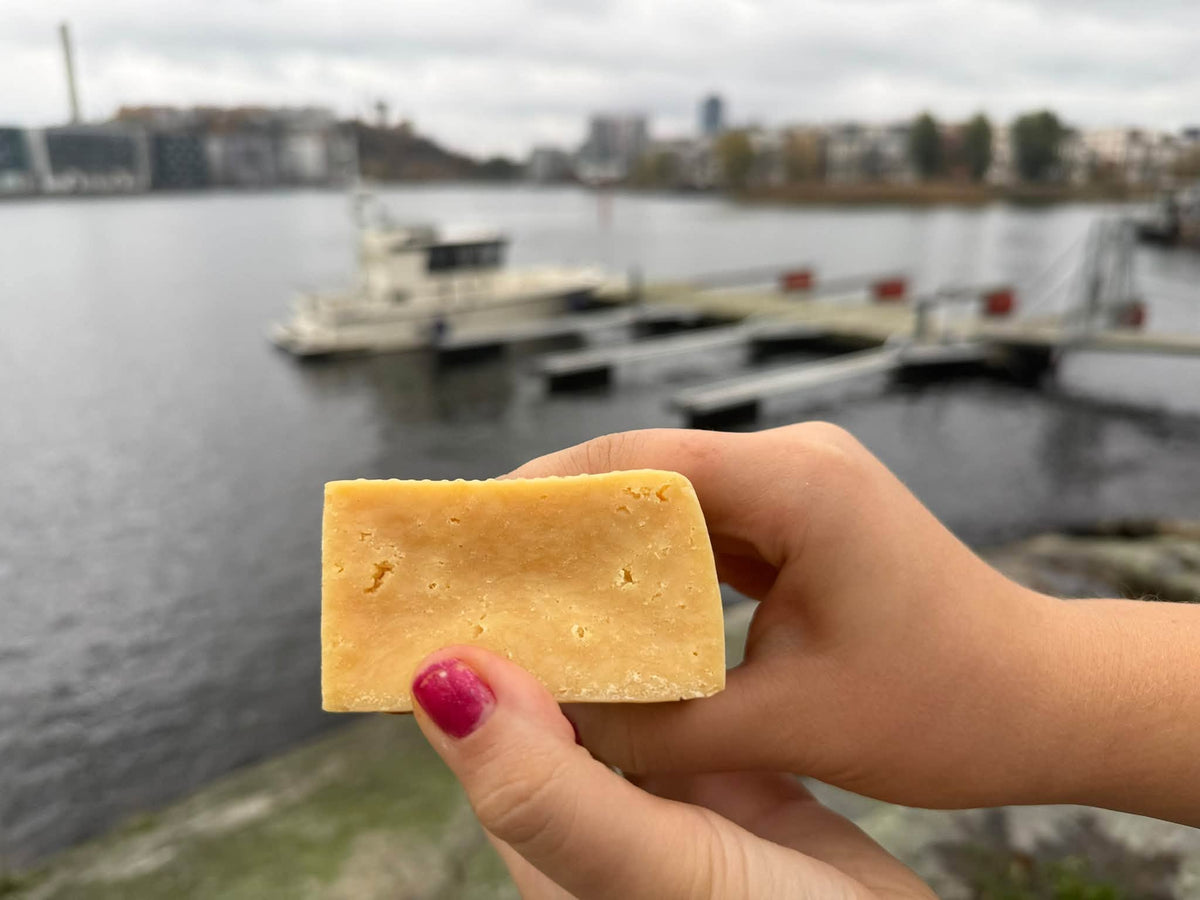 Cheese Brick – Gigantiskt ostblock för hund