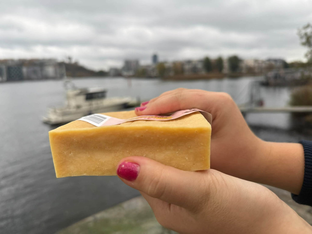 Cheese Brick – Gigantiskt ostblock för hund